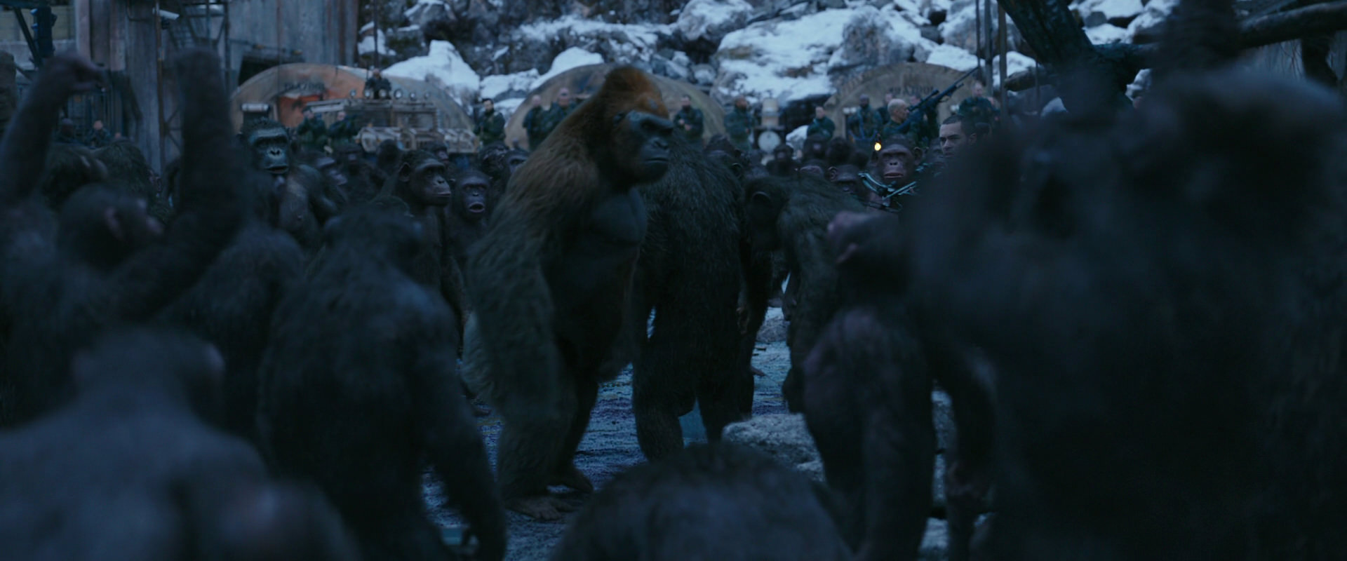 War for the Planet of the Apes (2017) HD screenshot 8426