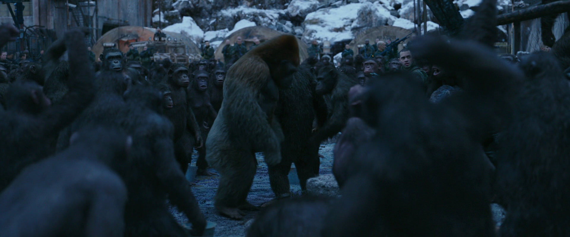 War for the Planet of the Apes (2017) screencap 8427