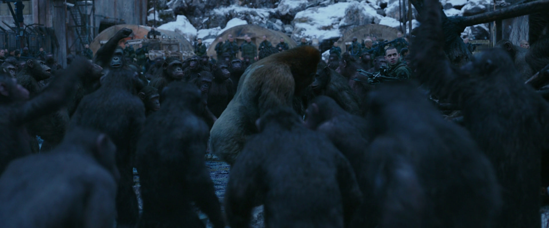 War for the Planet of the Apes (2017) movie still 8428