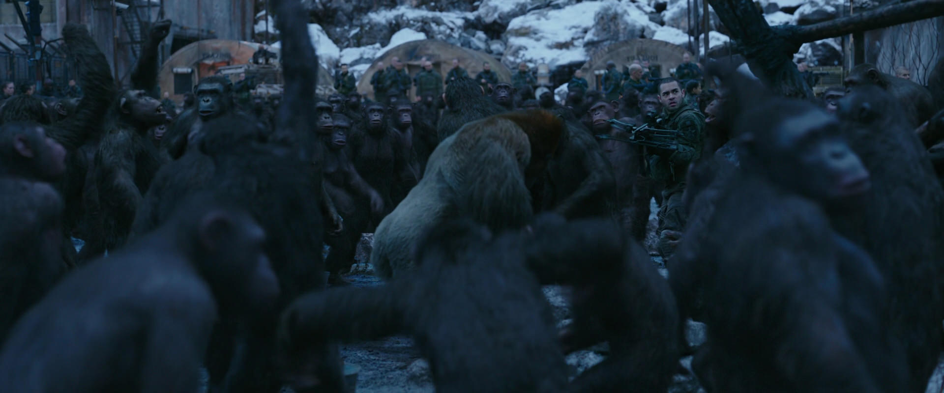 War for the Planet of the Apes (2017) HD screenshot 8429