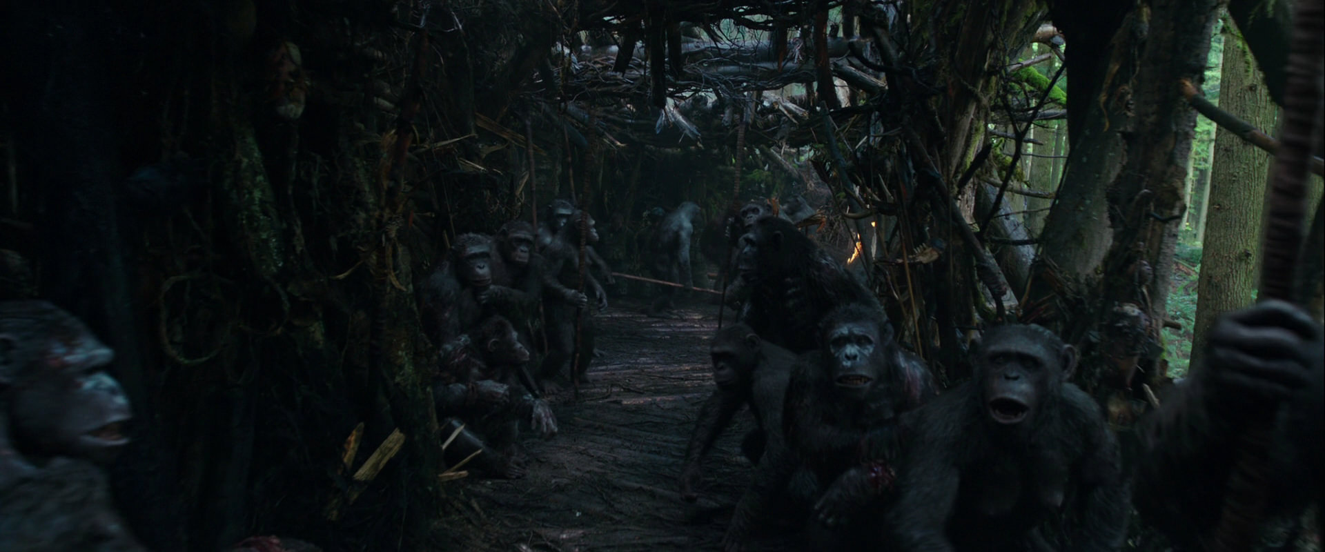 War for the Planet of the Apes (2017) screencap 843