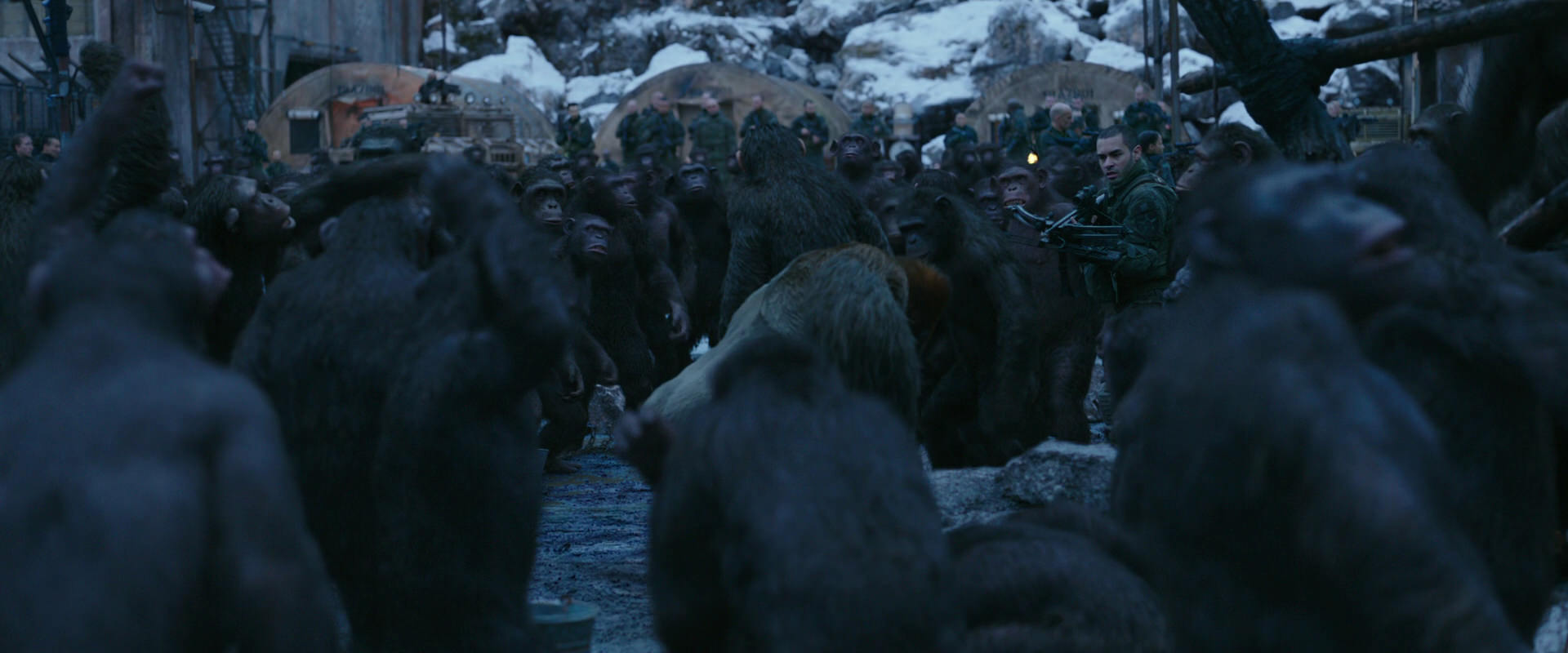 War for the Planet of the Apes (2017) screencap 8430