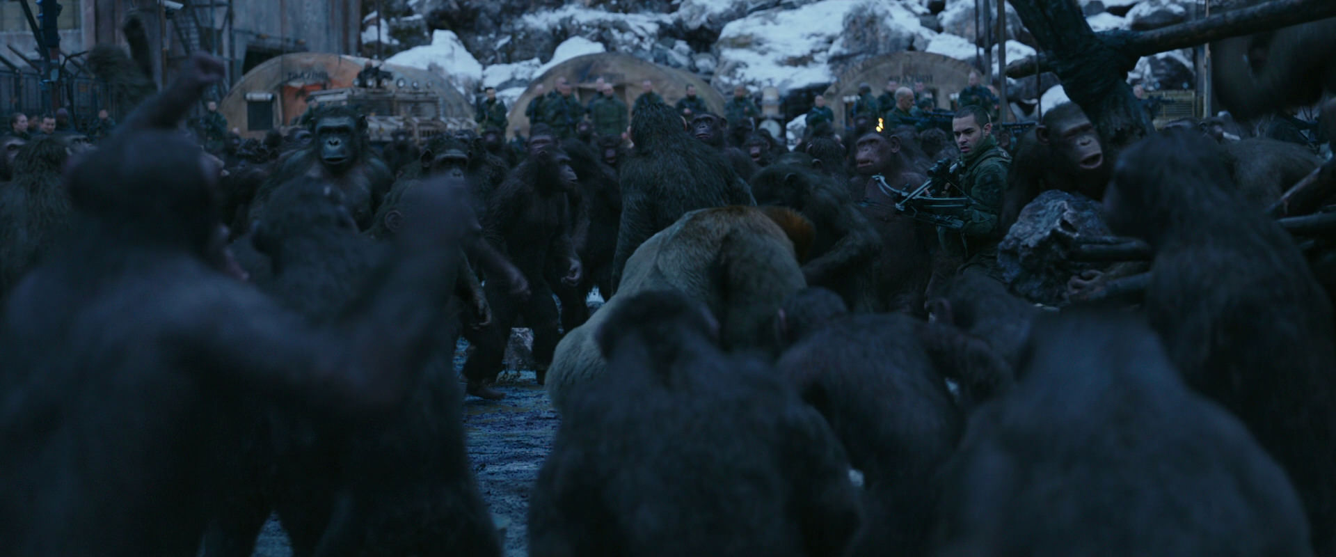 War for the Planet of the Apes (2017) movie still 8431