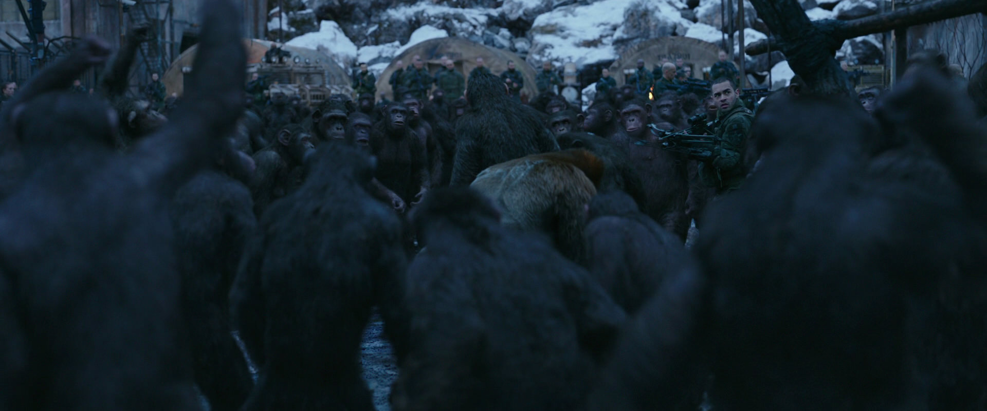 War for the Planet of the Apes (2017) HD screenshot 8432