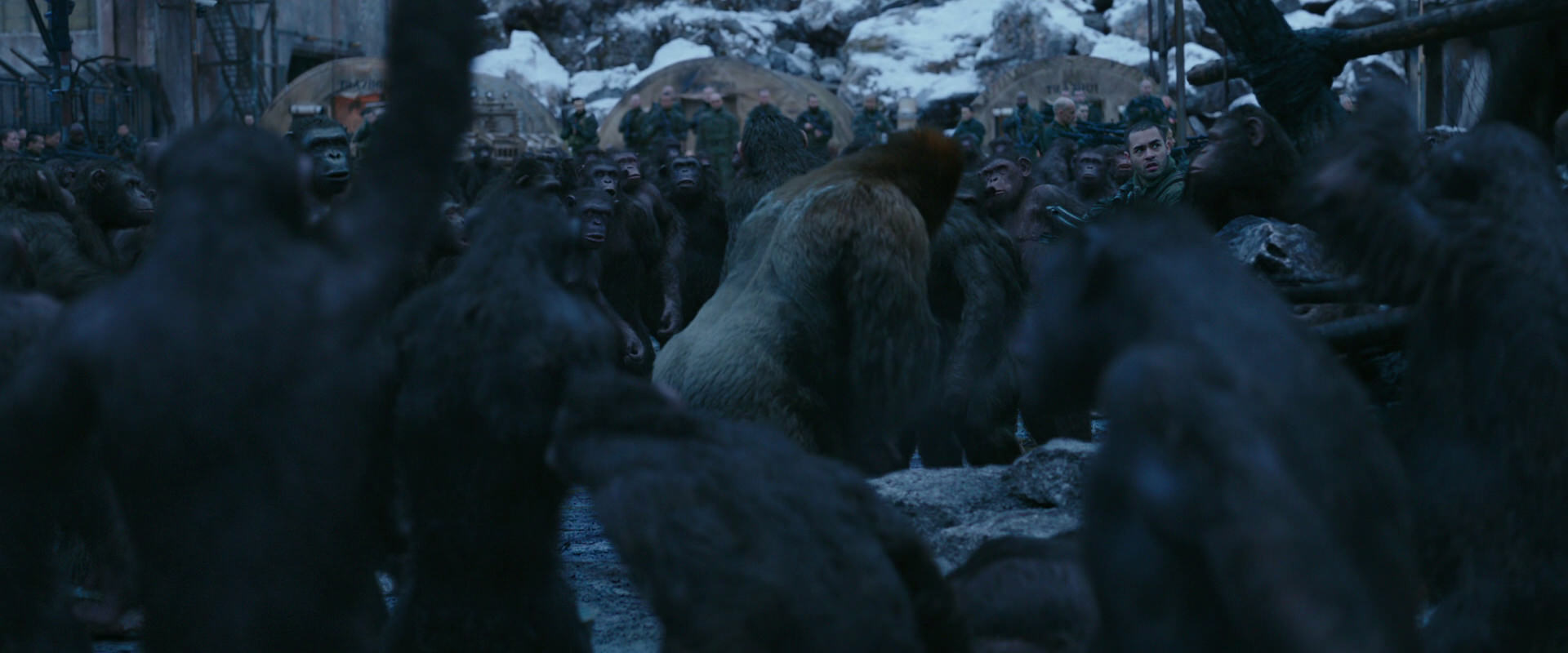 War for the Planet of the Apes (2017) screencap 8433