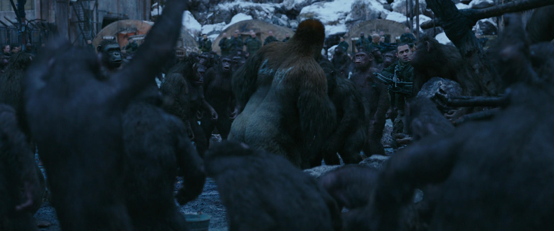 War for the Planet of the Apes (2017) movie still 8434