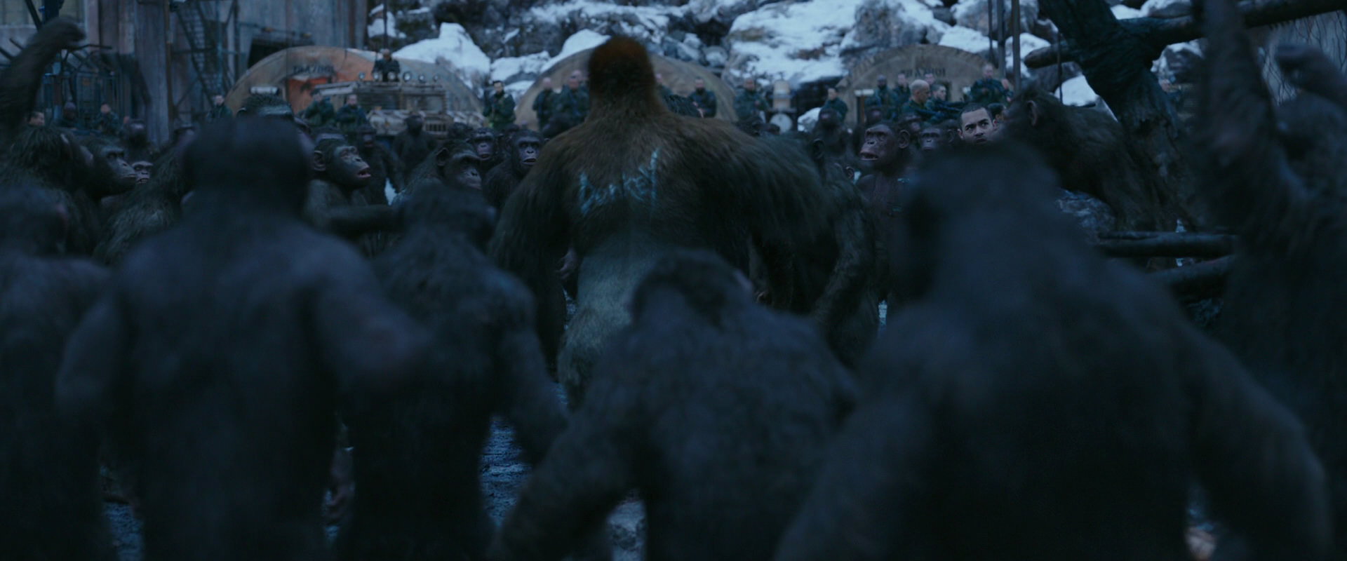 War for the Planet of the Apes (2017) HD screenshot 8435