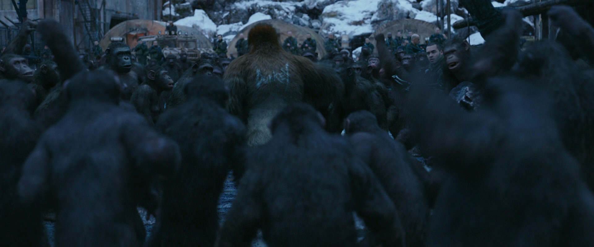 War for the Planet of the Apes (2017) screencap 8436