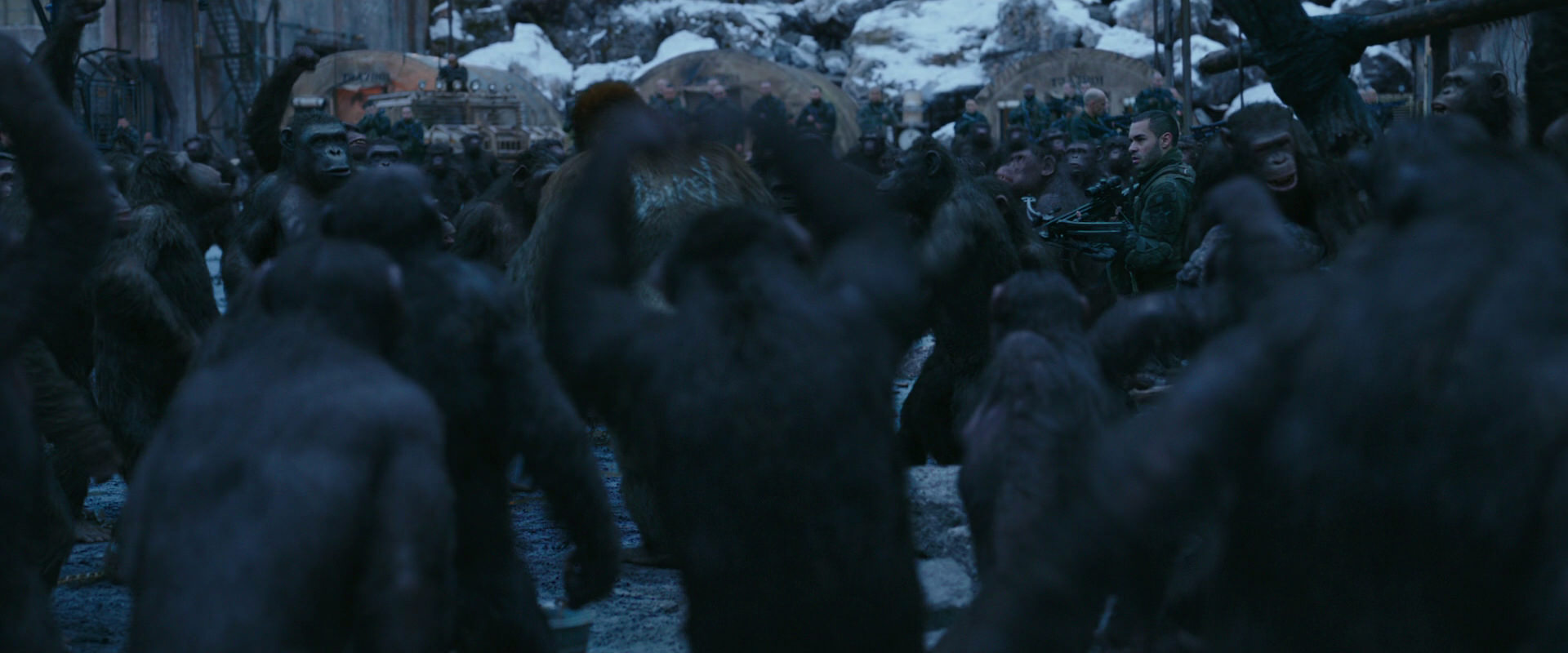 War for the Planet of the Apes (2017) movie still 8437