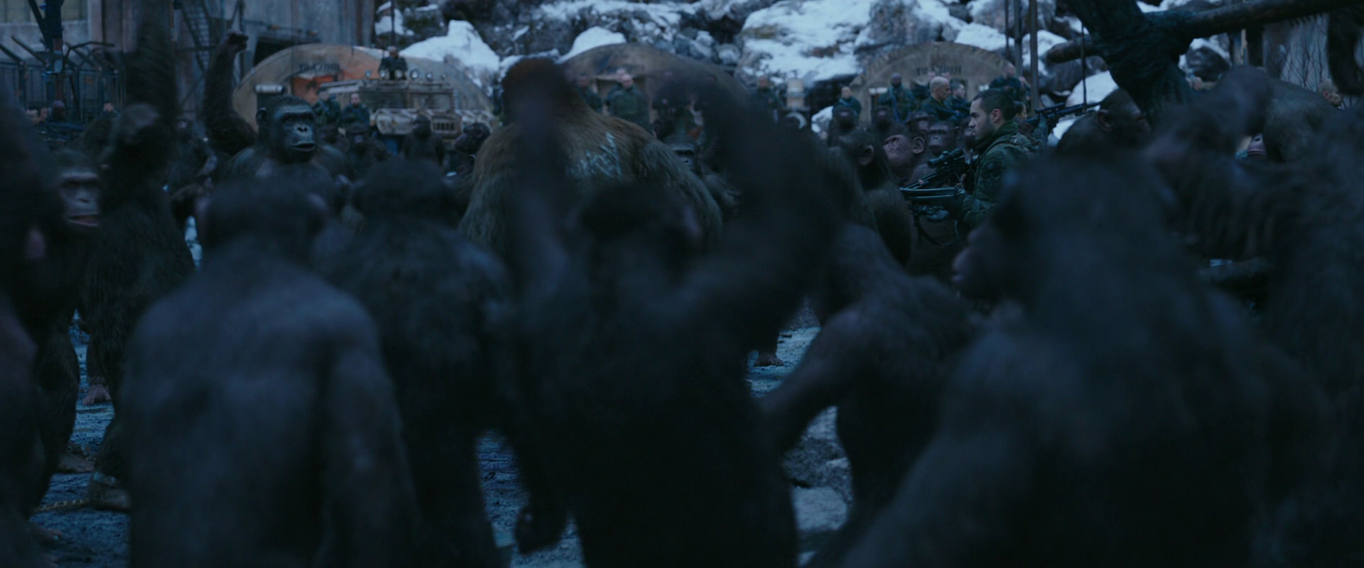 War for the Planet of the Apes (2017) HD screenshot 8438