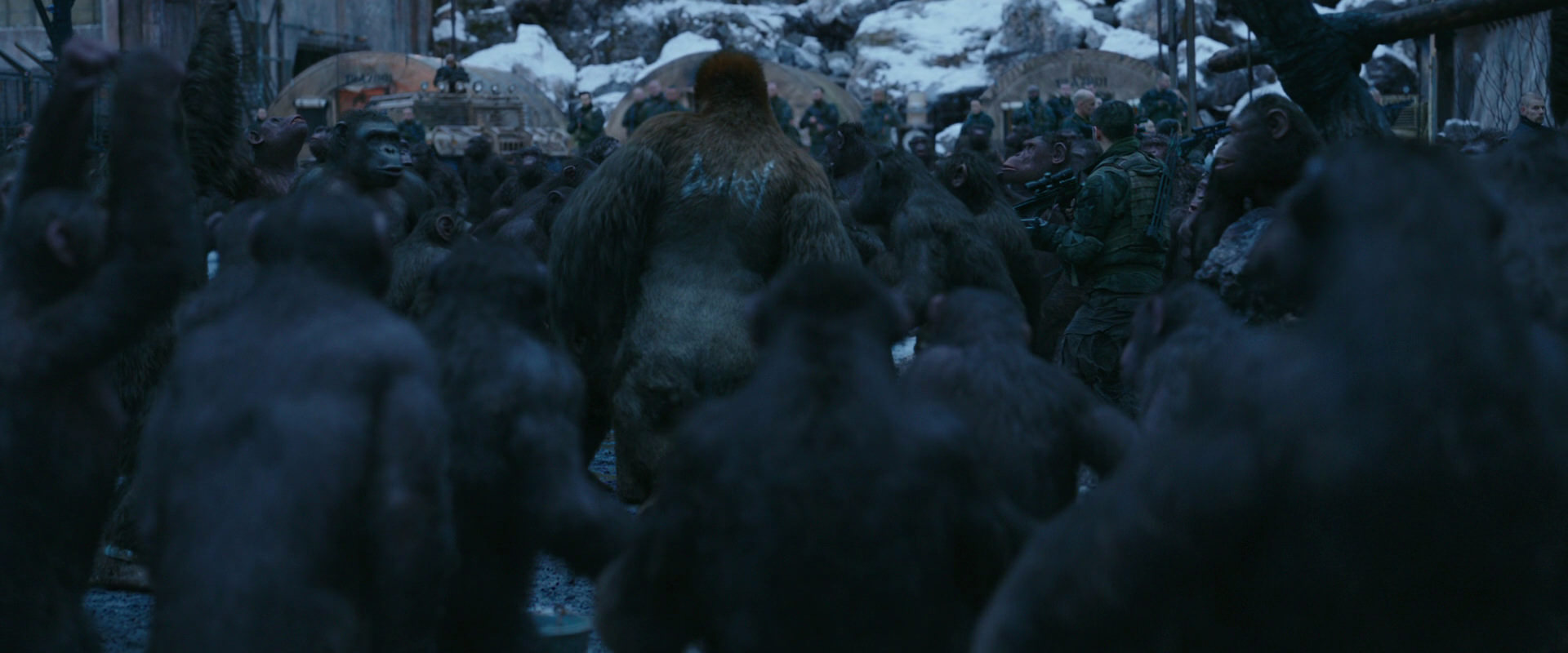 War for the Planet of the Apes (2017) screencap 8439