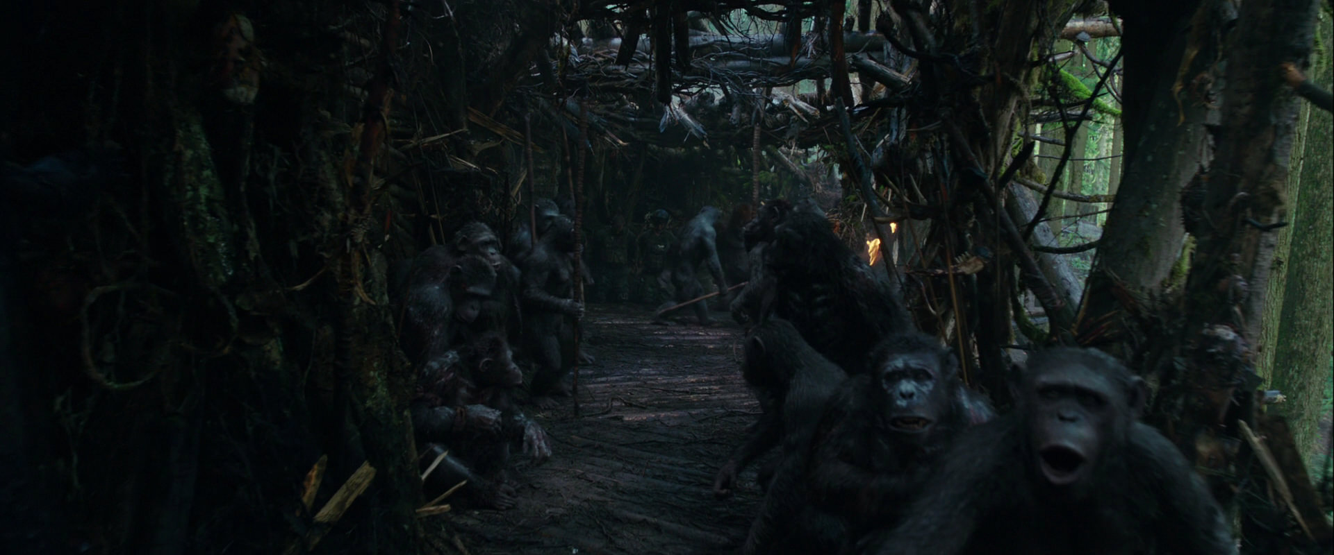 War for the Planet of the Apes (2017) movie still 844