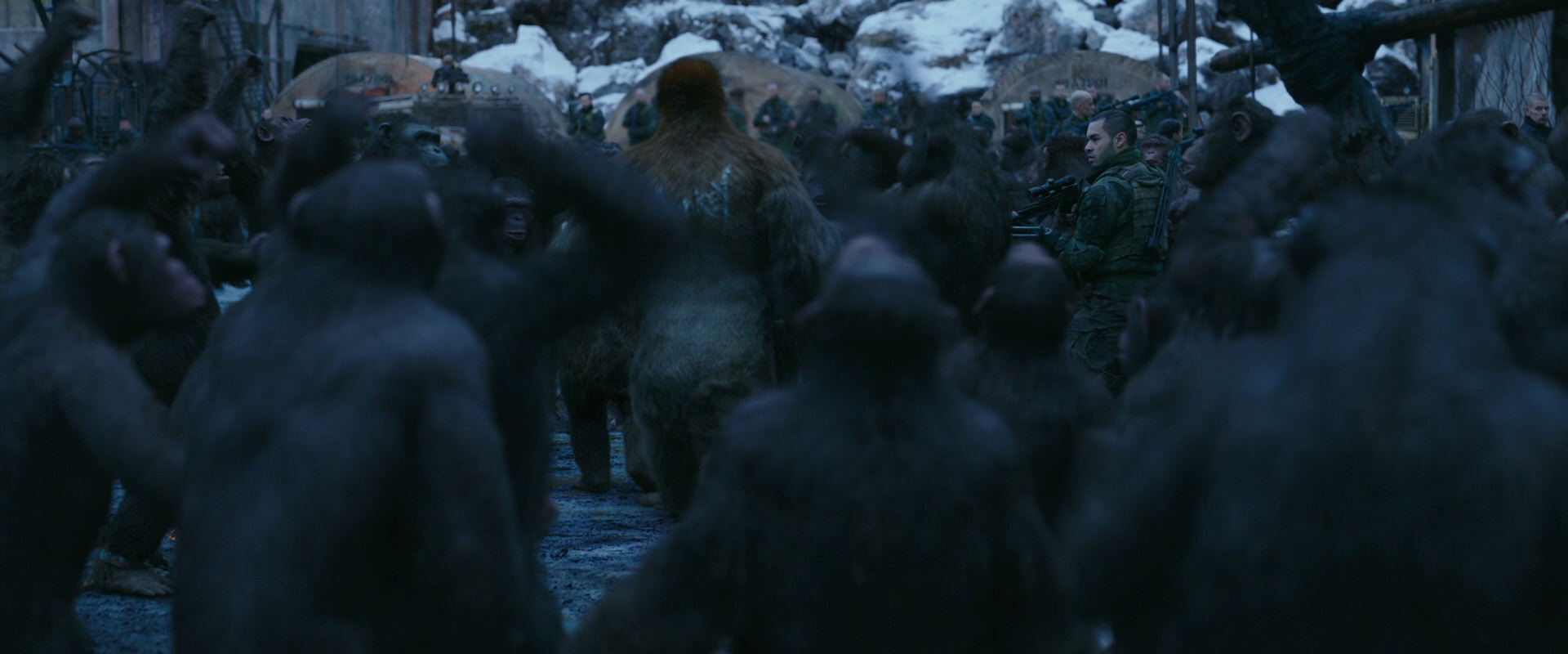 War for the Planet of the Apes (2017) movie still 8440