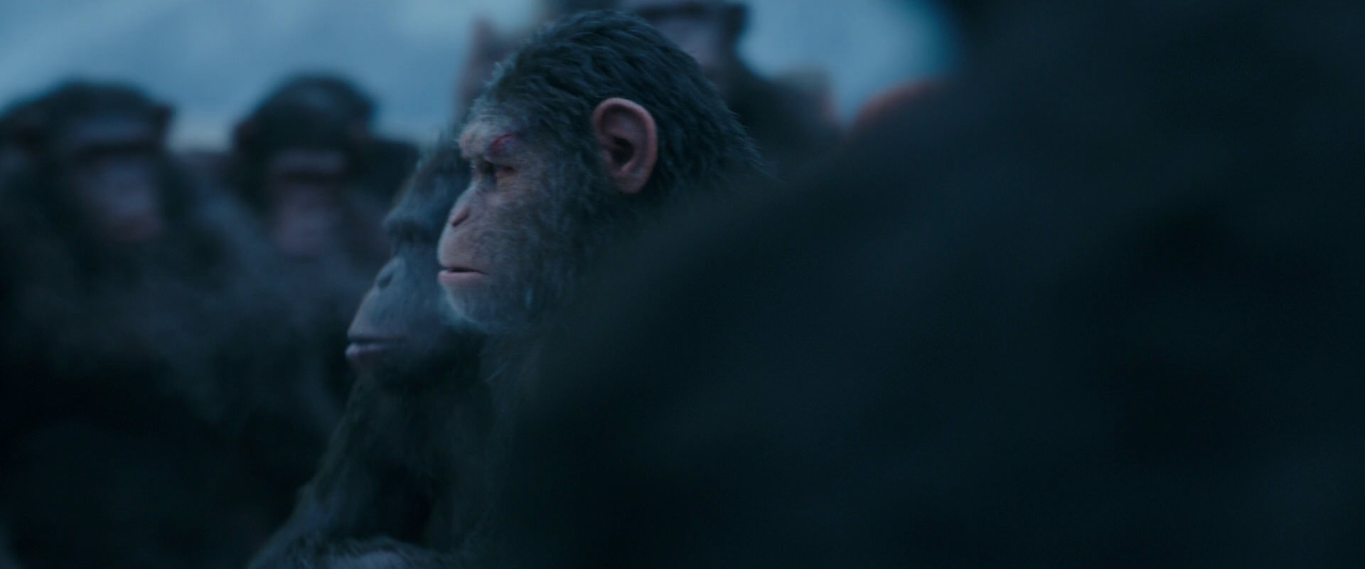 War for the Planet of the Apes (2017) movie still 8446