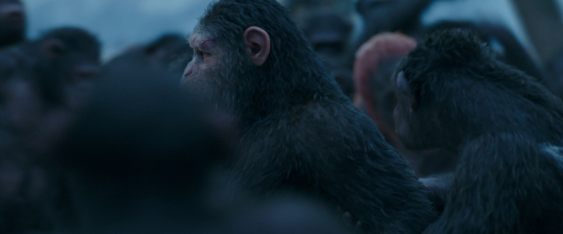 War for the Planet of the Apes (2017) HD screenshot 8447