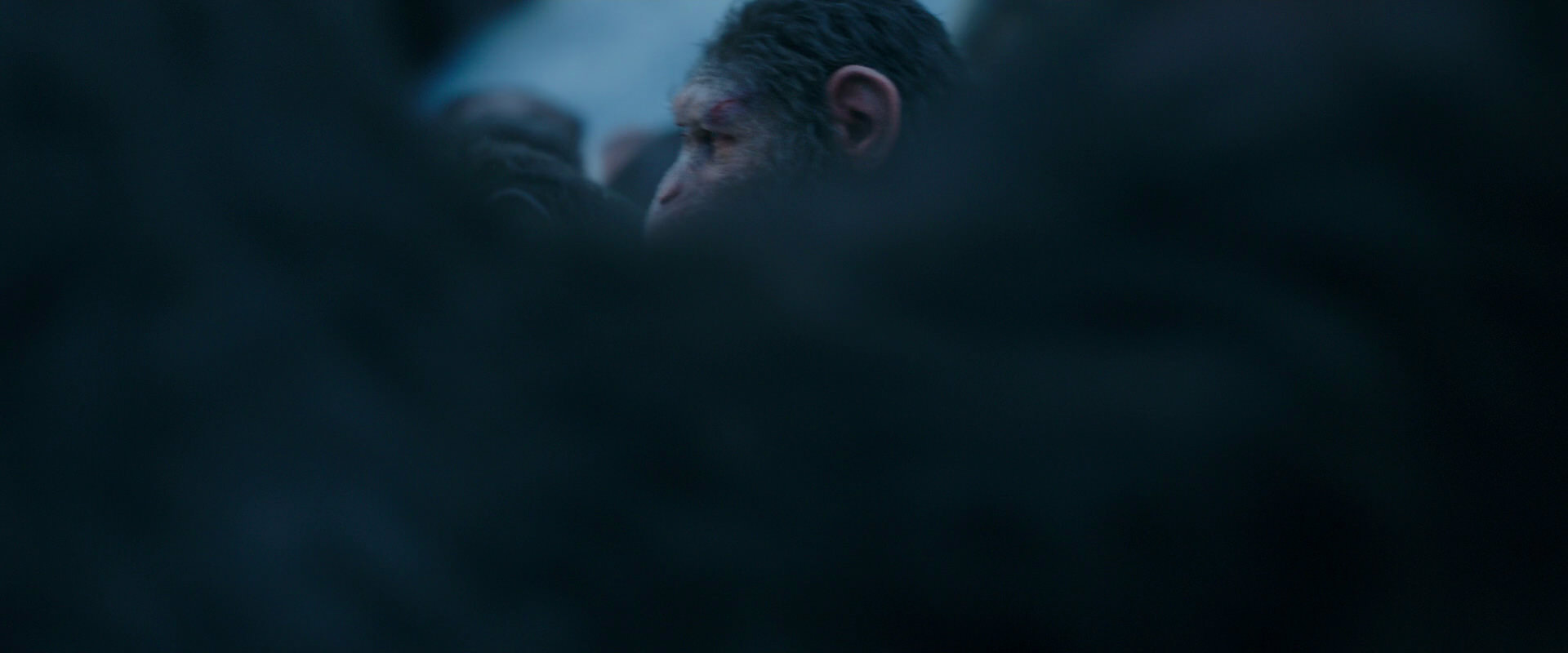 War for the Planet of the Apes (2017) screencap 8448