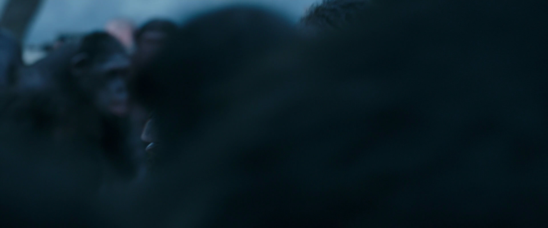 War for the Planet of the Apes (2017) movie still 8449