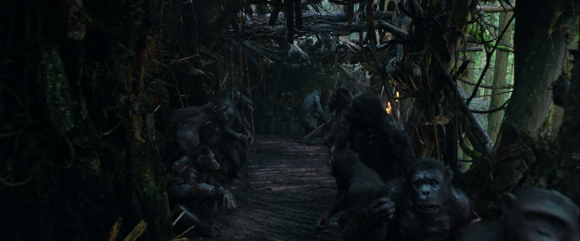 War for the Planet of the Apes (2017) HD screenshot 845