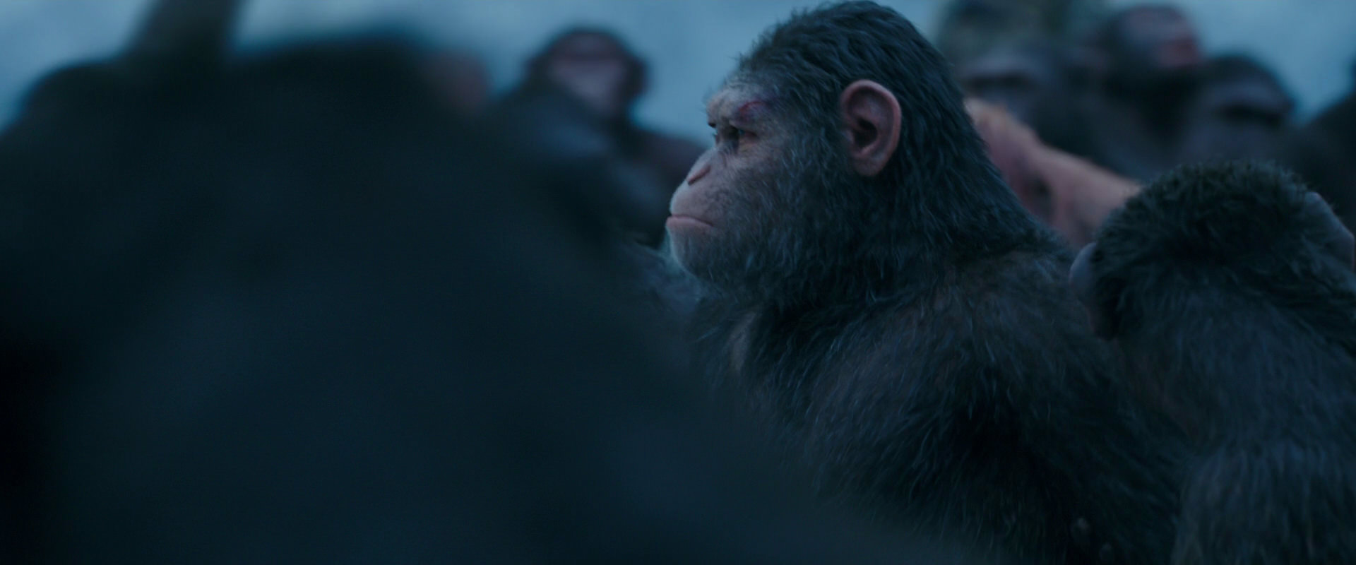 War for the Planet of the Apes (2017) HD screenshot 8450