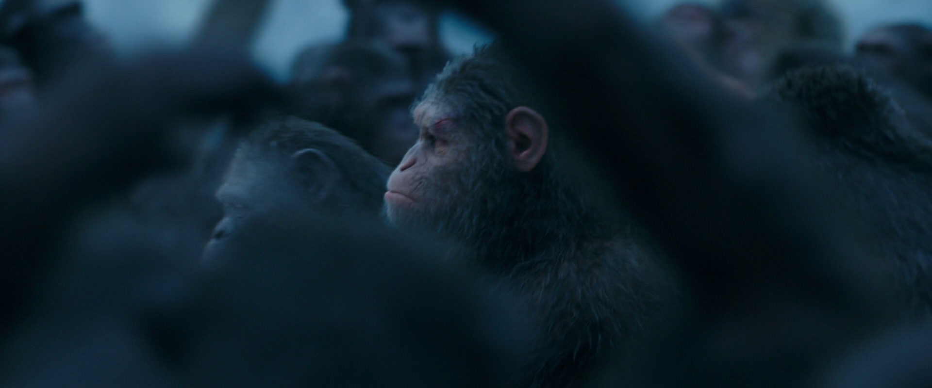 War for the Planet of the Apes (2017) screencap 8451
