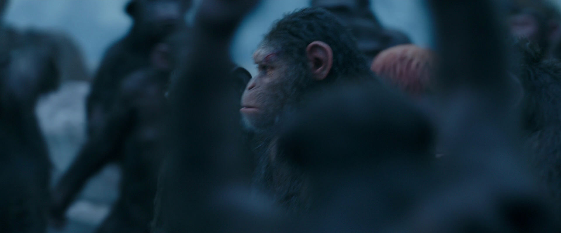 War for the Planet of the Apes (2017) movie still 8452