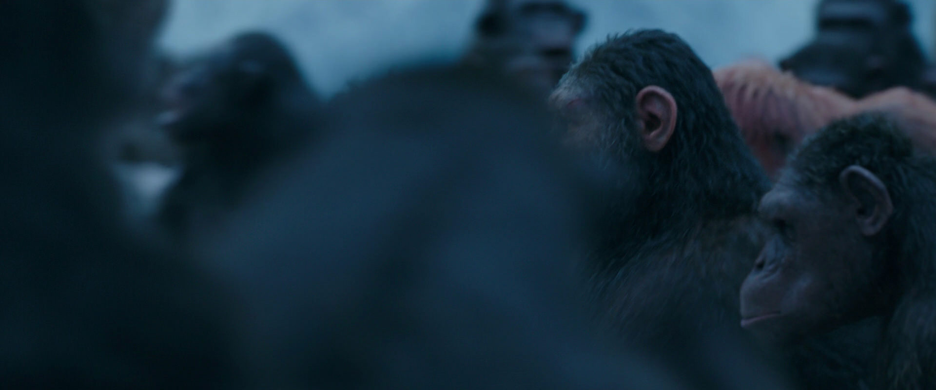 War for the Planet of the Apes (2017) HD screenshot 8453