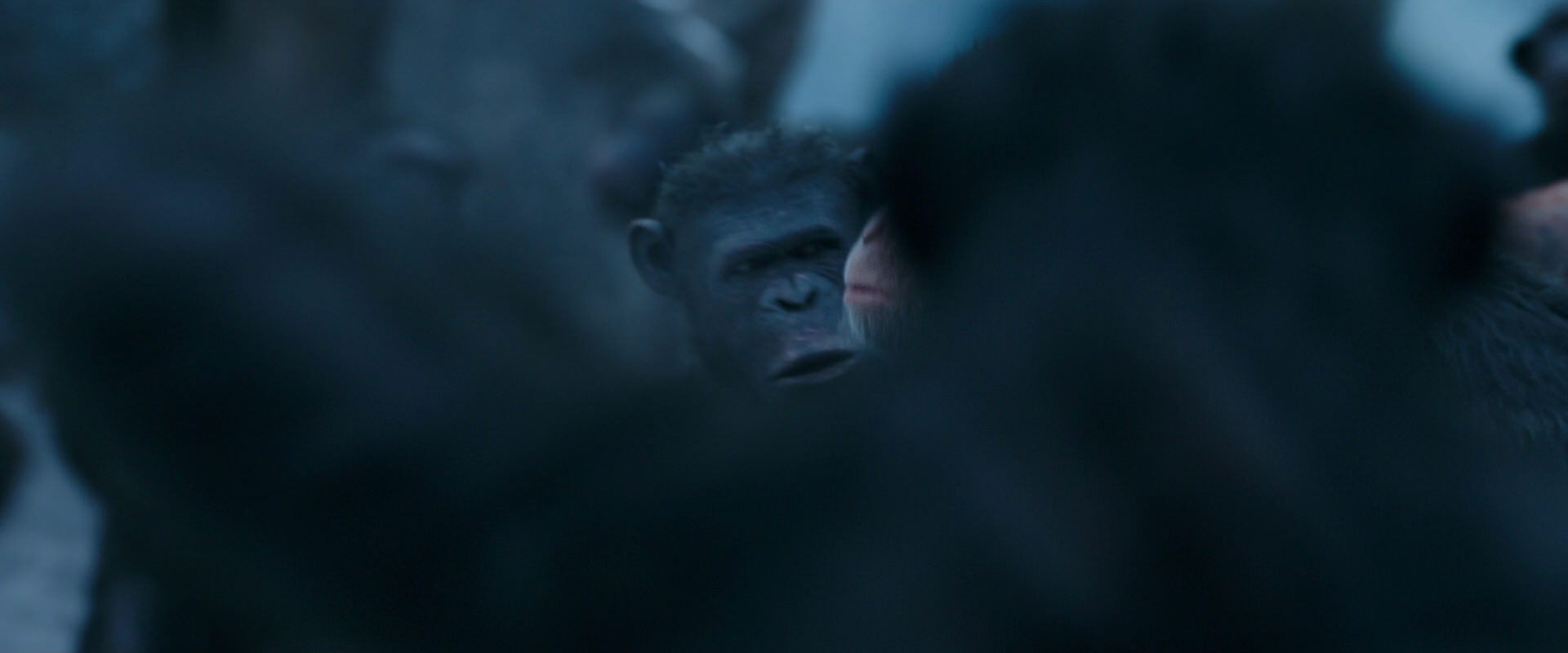 War for the Planet of the Apes (2017) movie still 8455
