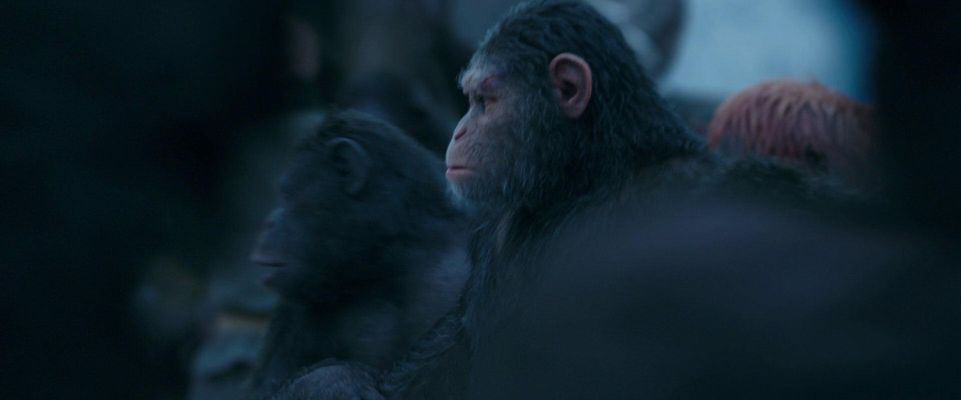War for the Planet of the Apes (2017) screencap 8457