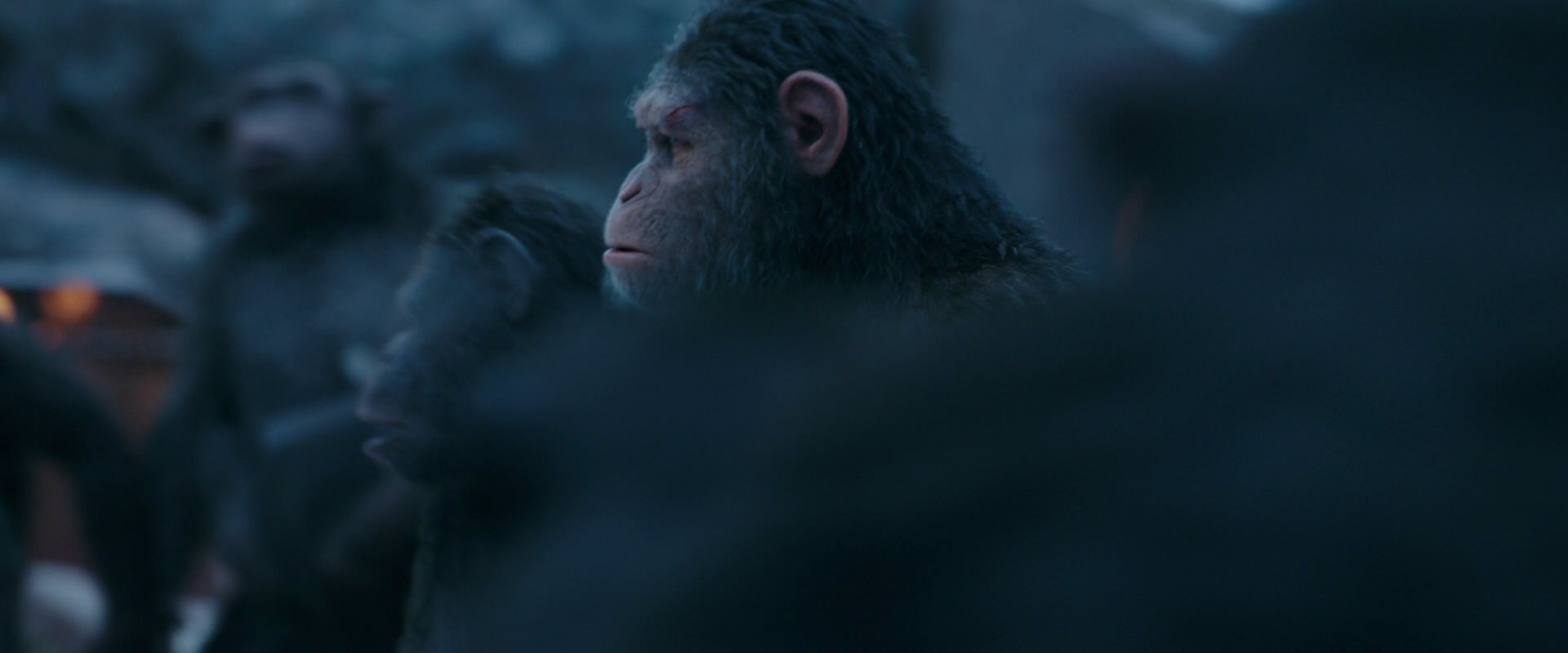 War for the Planet of the Apes (2017) movie still 8458