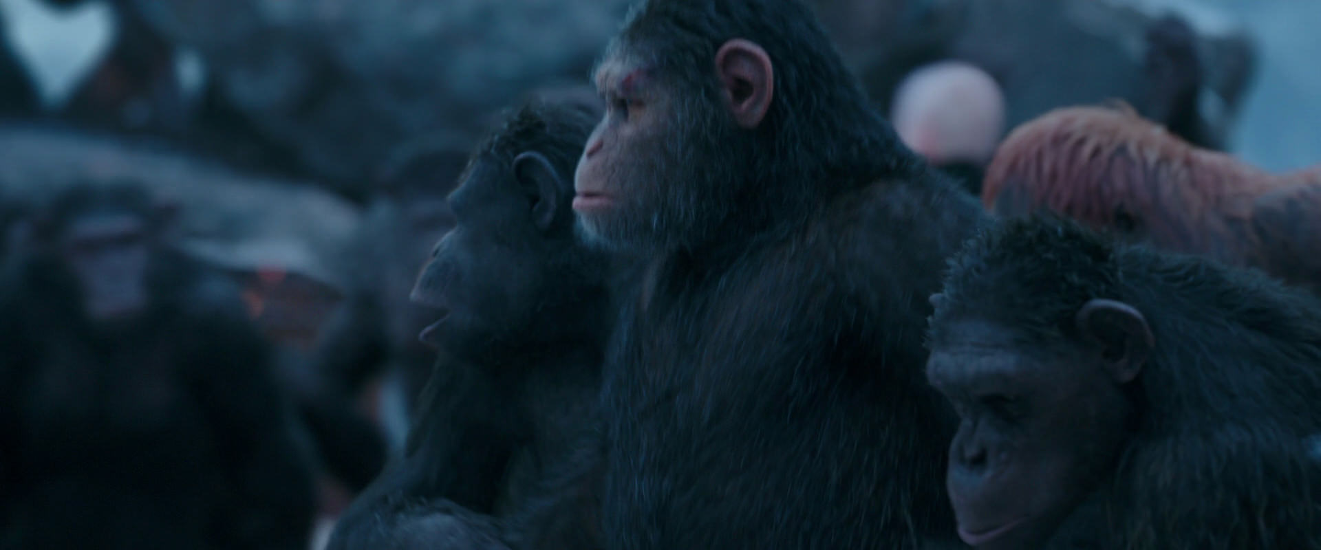 War for the Planet of the Apes (2017) HD screenshot 8459