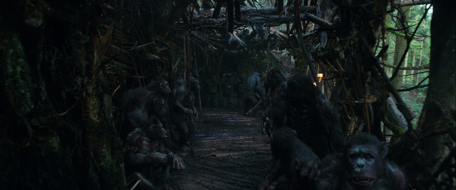 War for the Planet of the Apes (2017) screencap 846