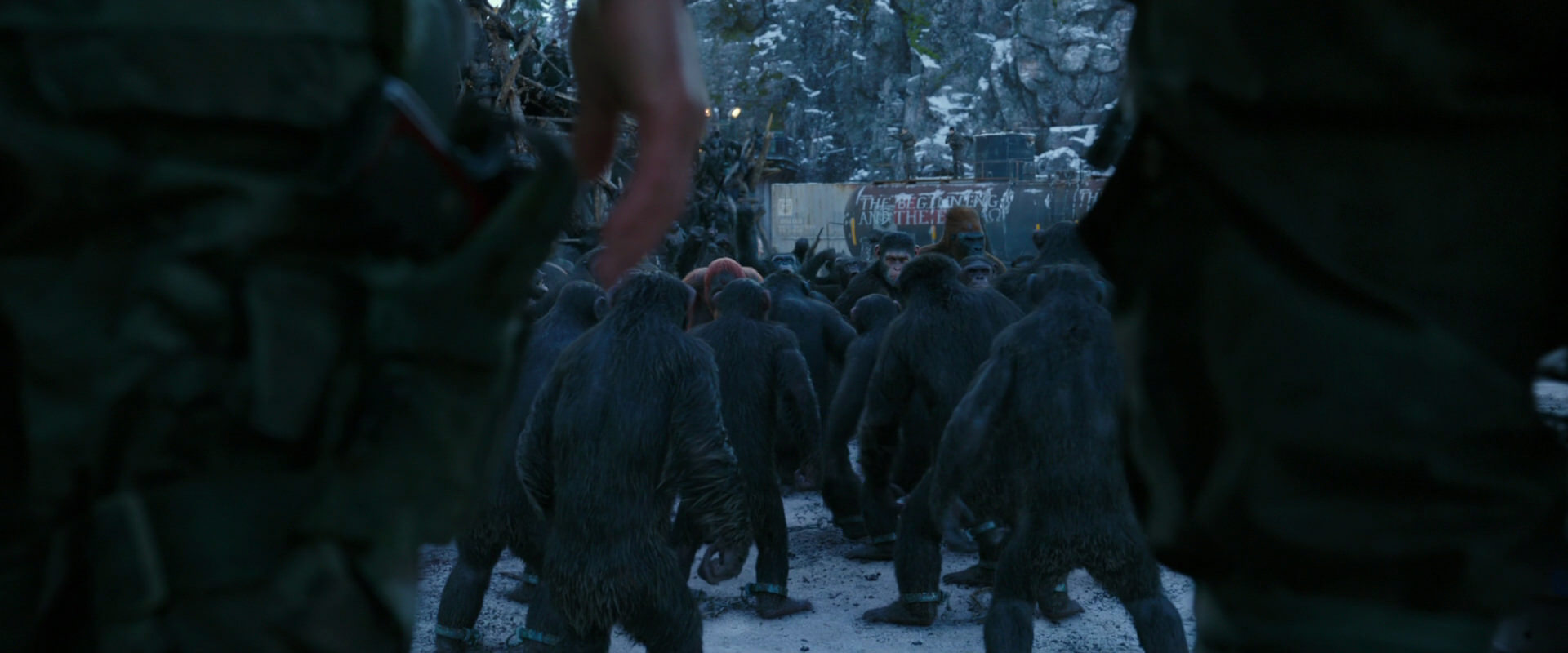 War for the Planet of the Apes (2017) screencap 8460