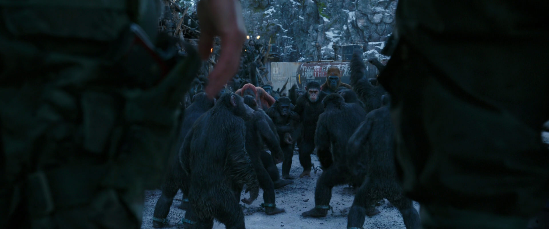 War for the Planet of the Apes (2017) movie still 8461