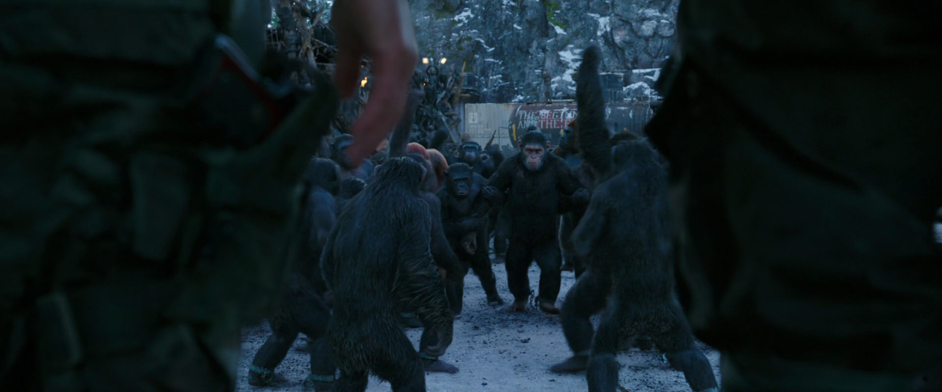 War for the Planet of the Apes (2017) HD screenshot 8462
