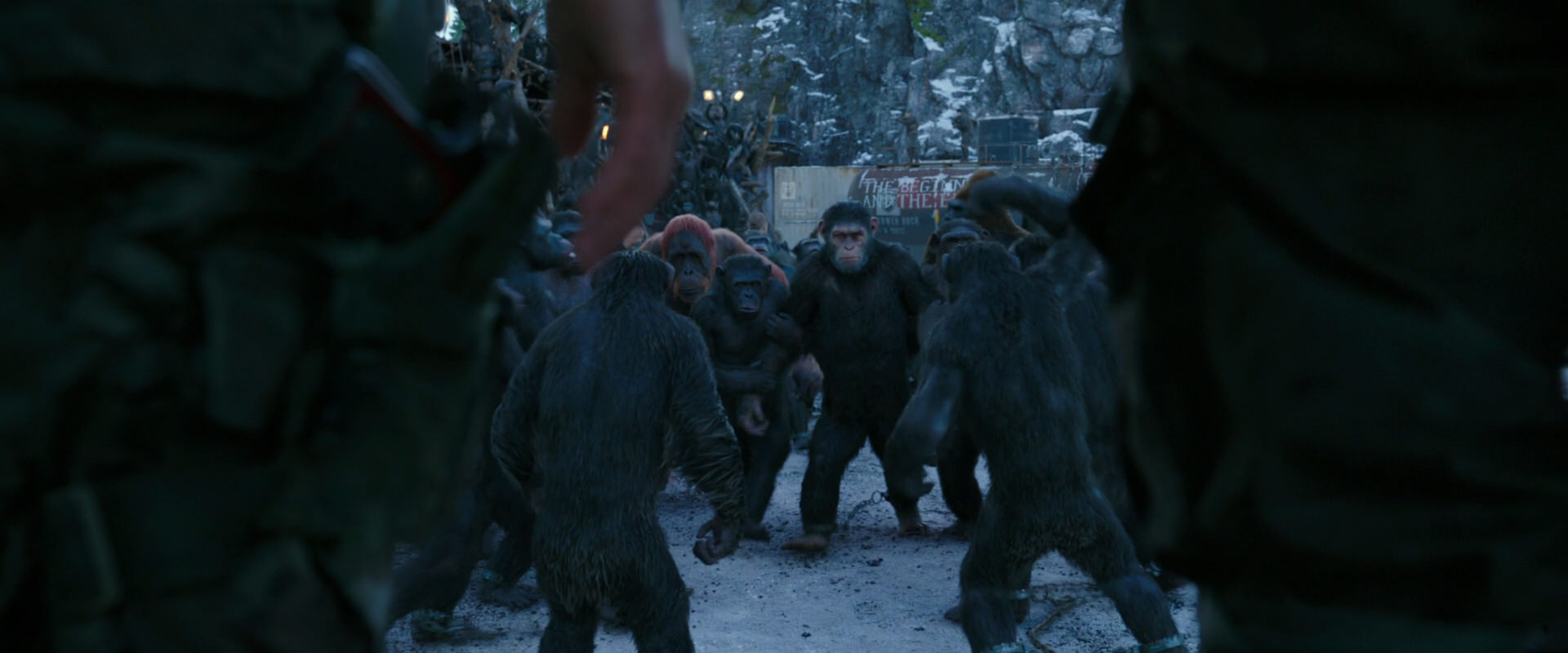 War for the Planet of the Apes (2017) screencap 8463