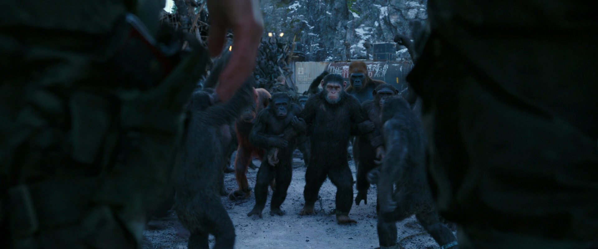 War for the Planet of the Apes (2017) movie still 8464