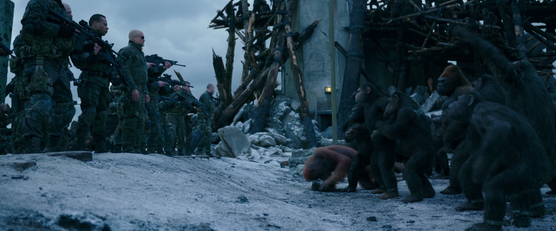 War for the Planet of the Apes (2017) screencap 8469