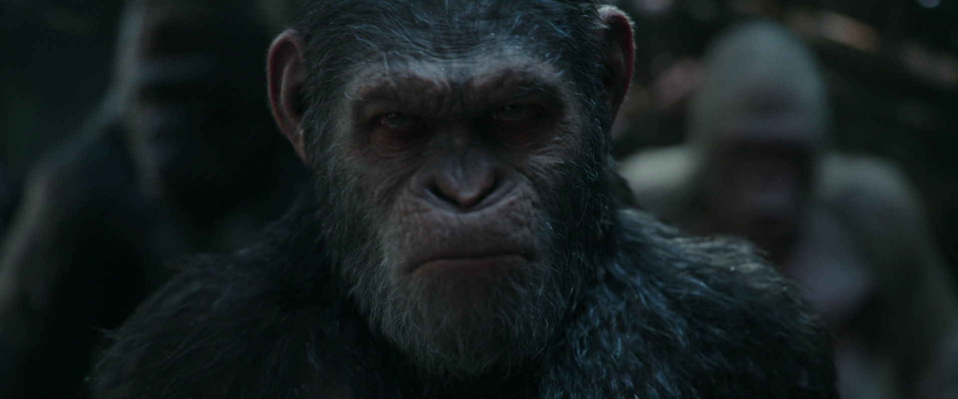 War for the Planet of the Apes (2017) movie still 847