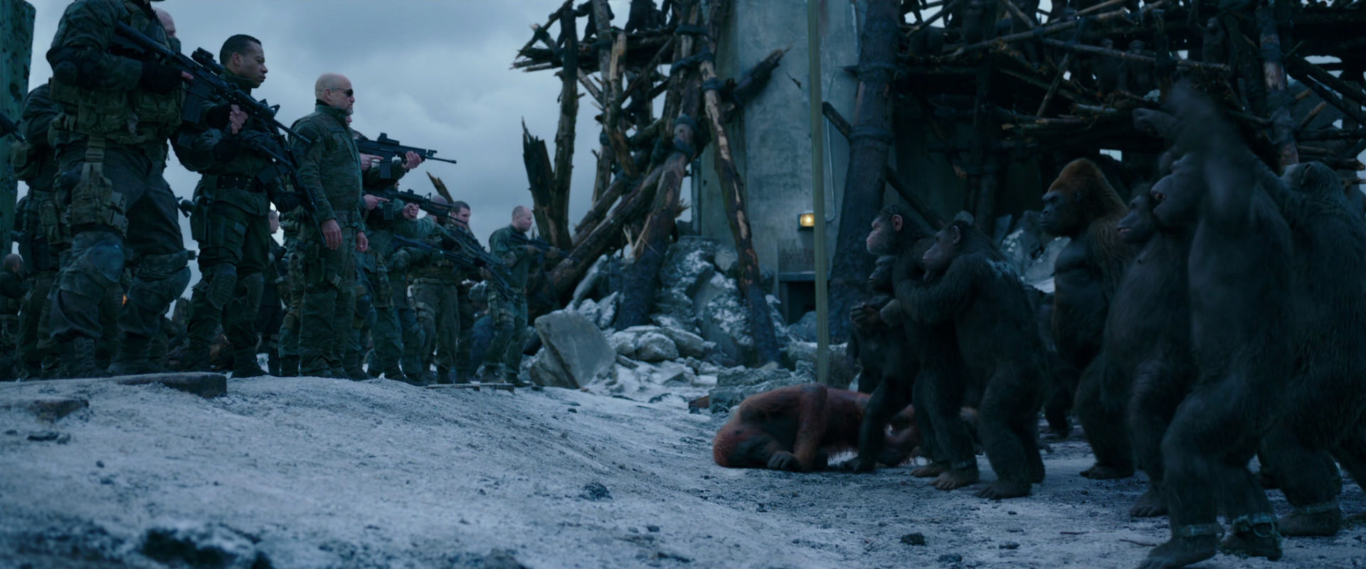 War for the Planet of the Apes (2017) HD screenshot 8471