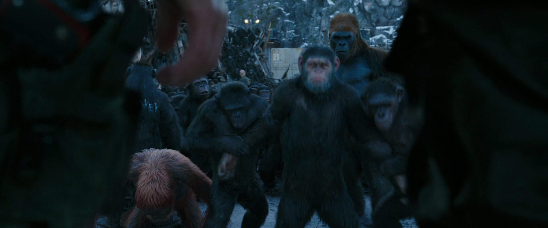 War for the Planet of the Apes (2017) movie still 8476