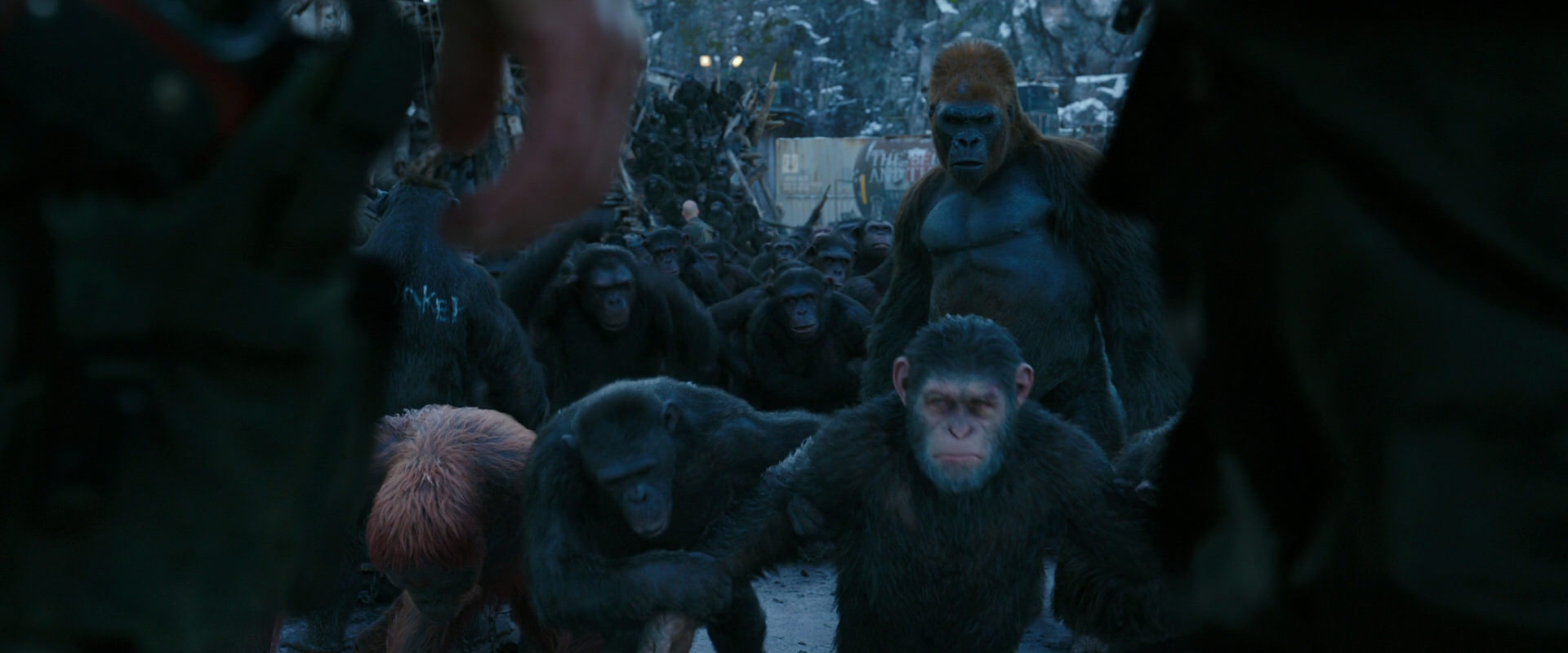 War for the Planet of the Apes (2017) HD screenshot 8477