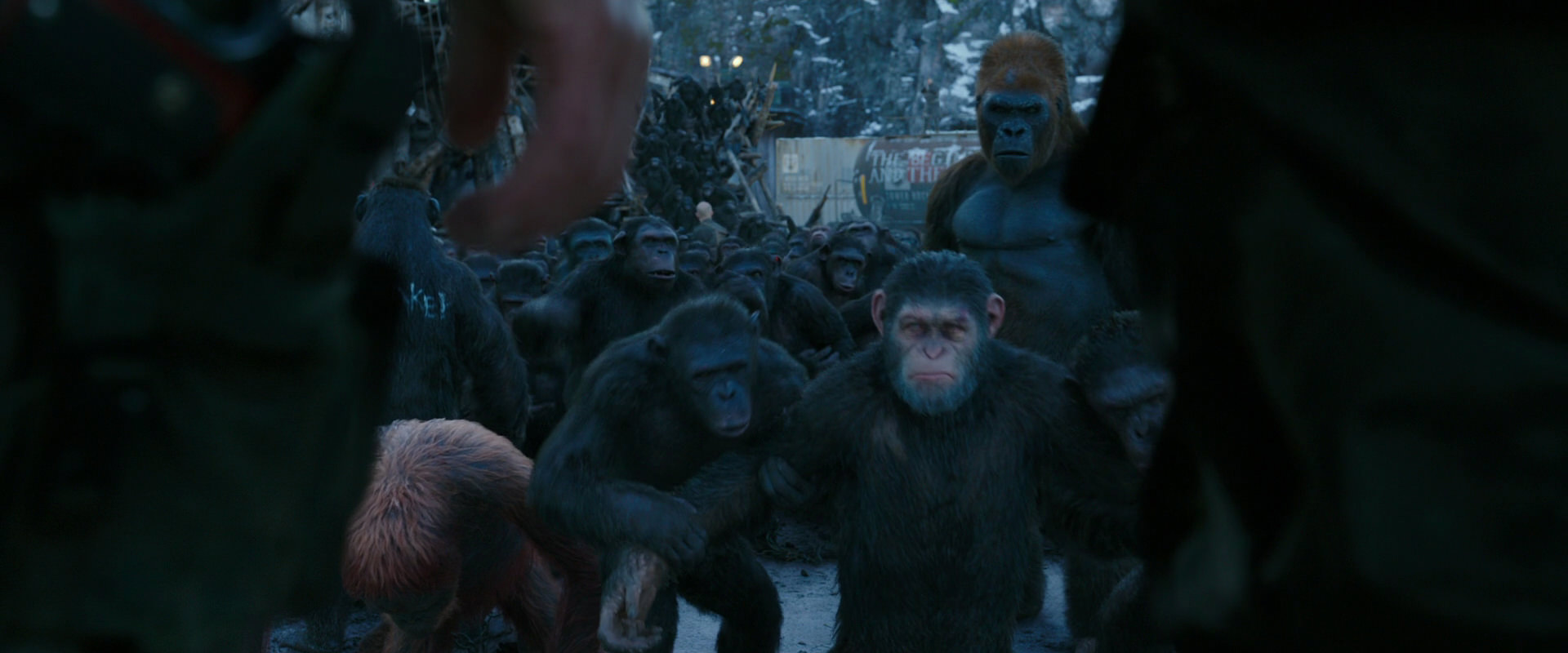 War for the Planet of the Apes (2017) screencap 8478