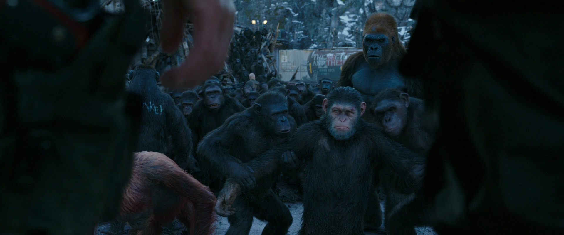 War for the Planet of the Apes (2017) movie still 8479