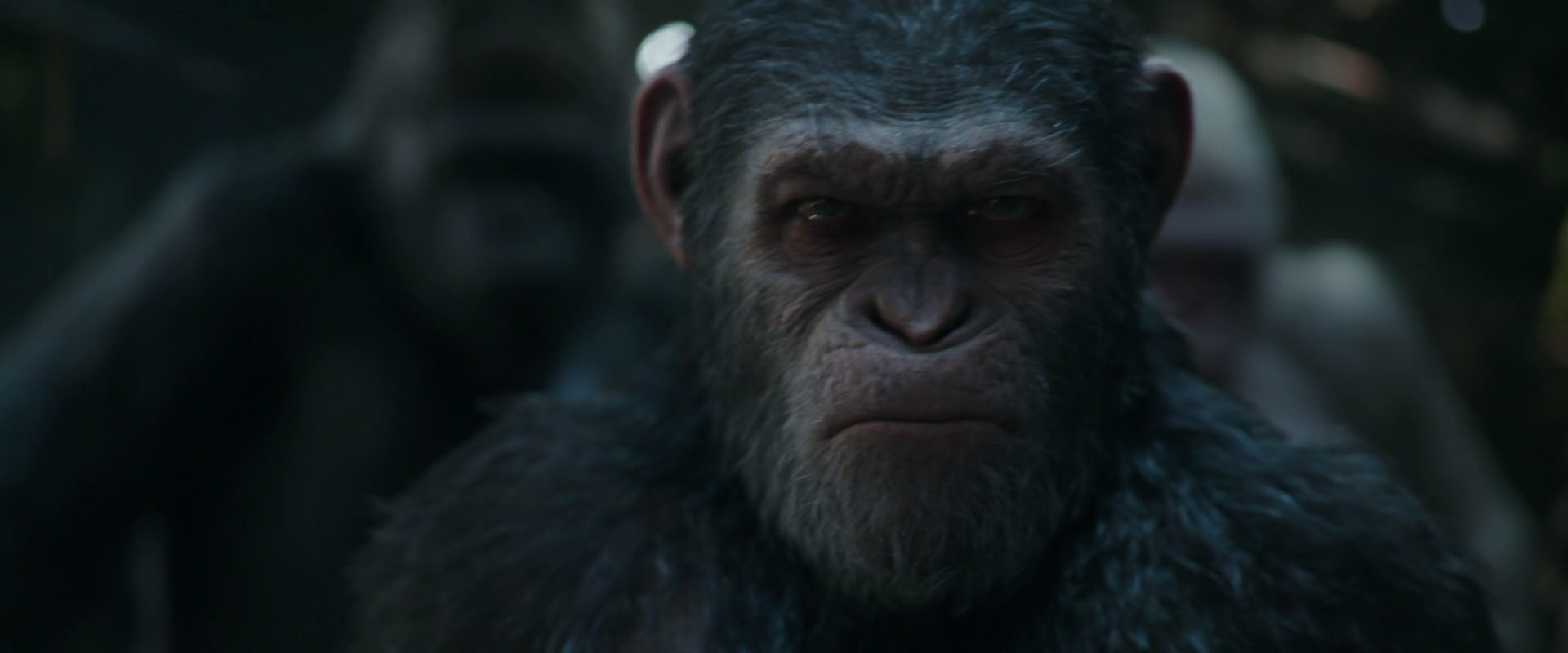 War for the Planet of the Apes (2017) HD screenshot 848
