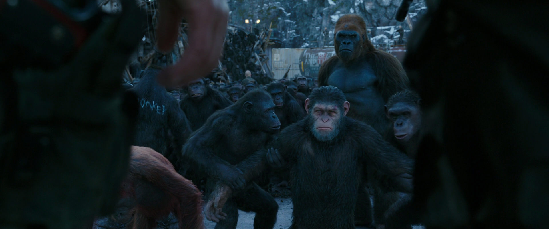 War for the Planet of the Apes (2017) HD screenshot 8480