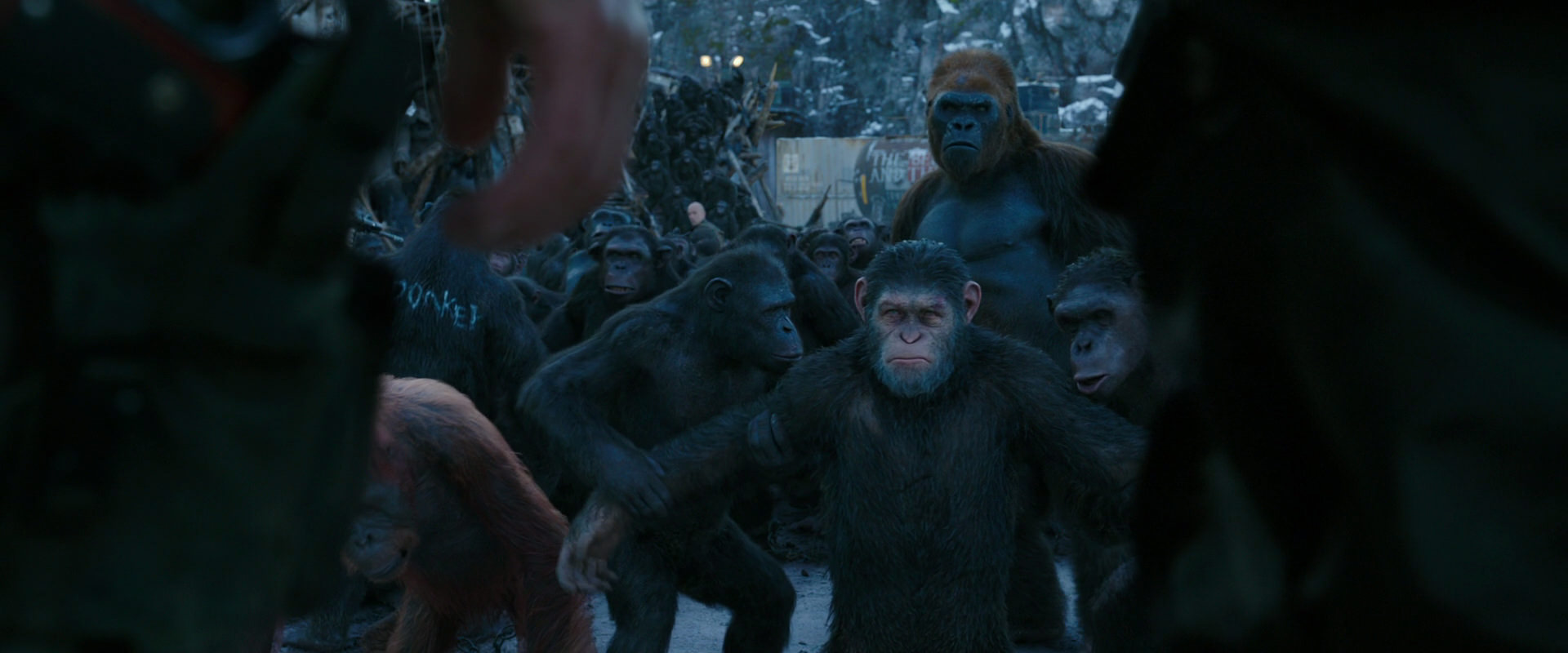 War for the Planet of the Apes (2017) screencap 8481