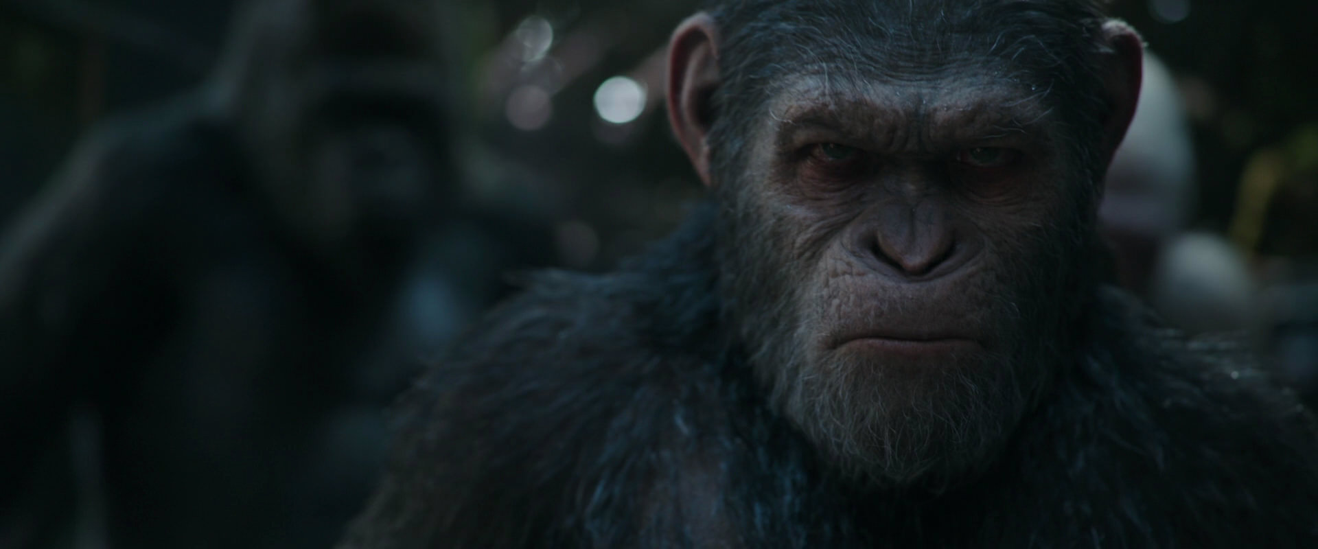 War for the Planet of the Apes (2017) screencap 849