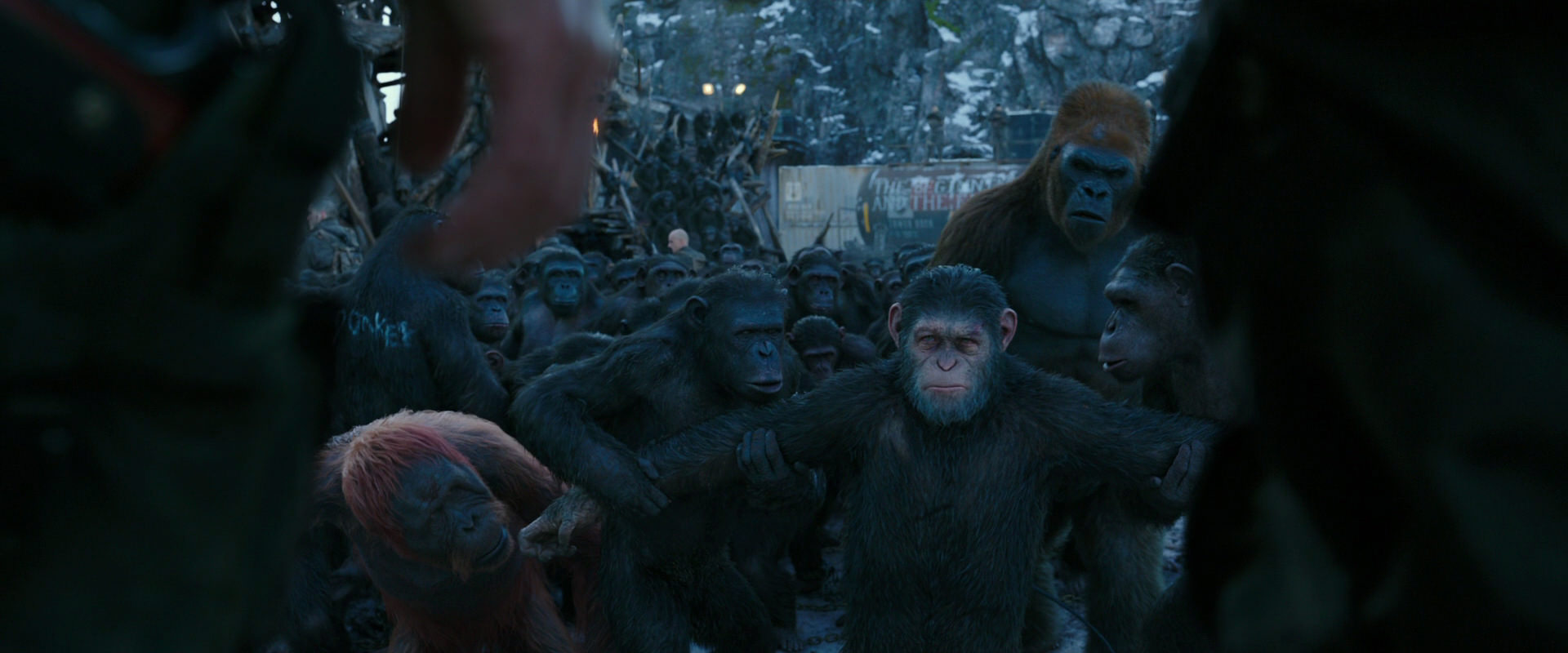 War for the Planet of the Apes (2017) screencap 8493