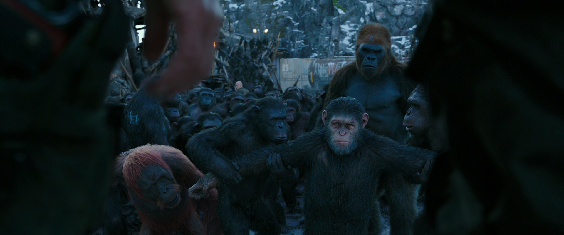 War for the Planet of the Apes (2017) movie still 8494
