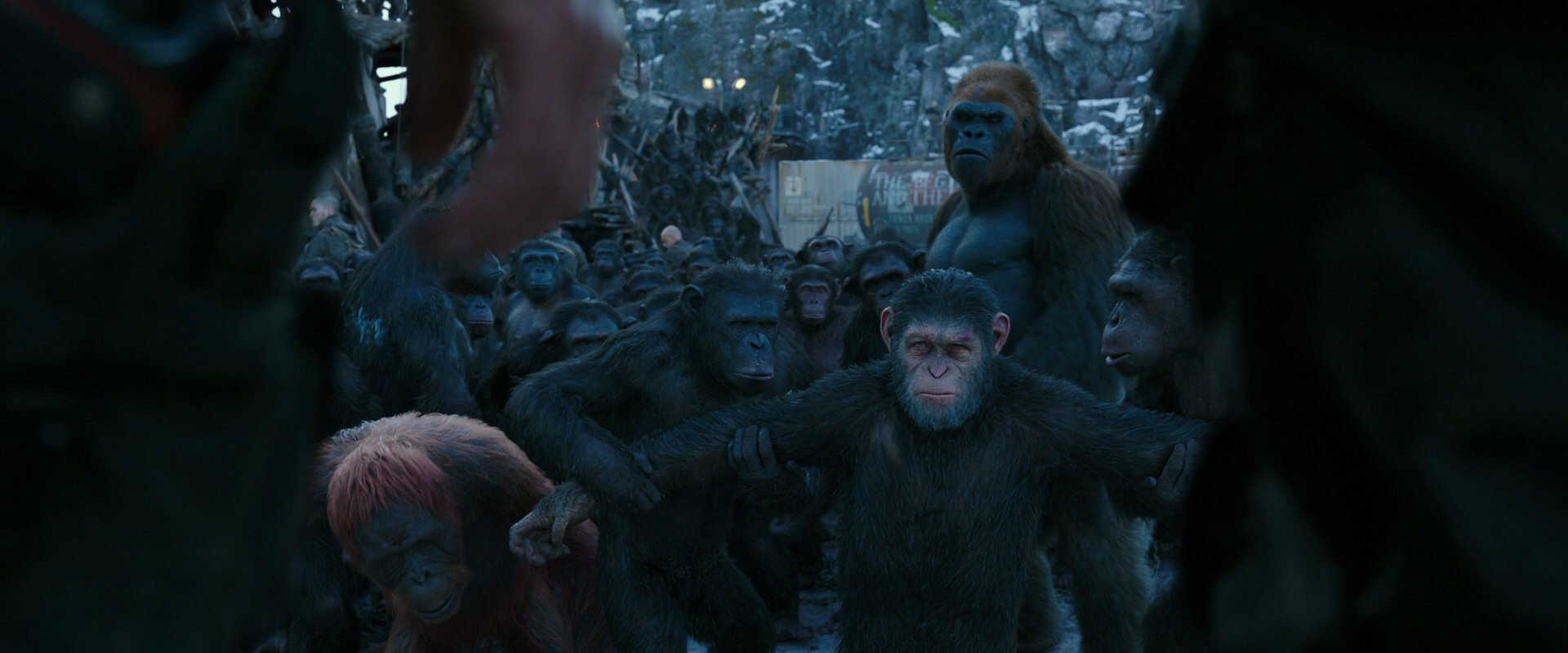 War for the Planet of the Apes (2017) HD screenshot 8495